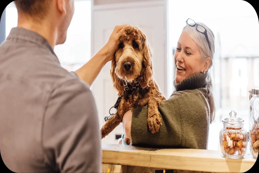 Business Successfully